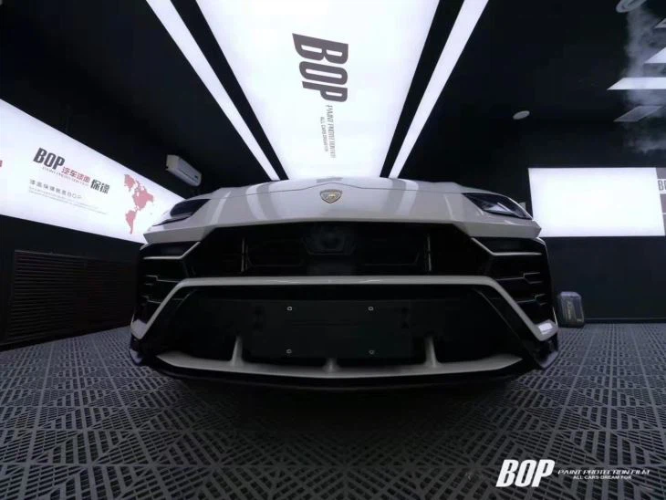 Paint Protection Film PPF Pro